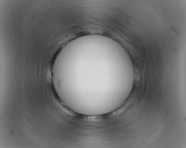 X0000112060622200908041012