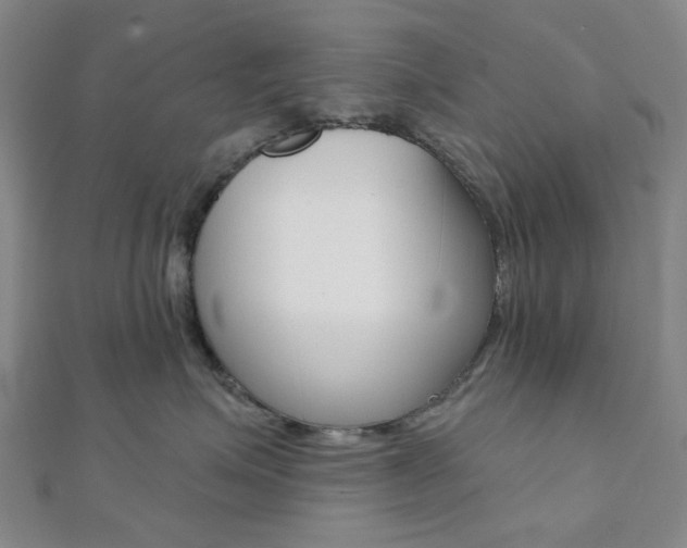 X0000112060623200908041012