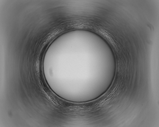 X0000112060626200908041011