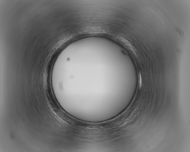 X0000112060627200908041012