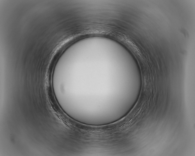 X0000112060628200908041012