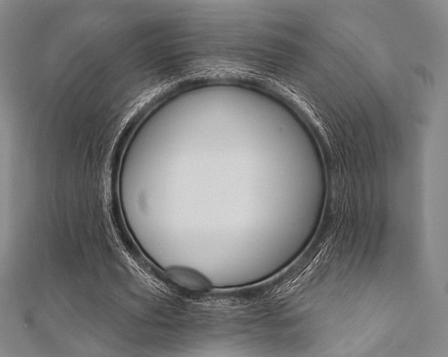 X0000112060629200908041012