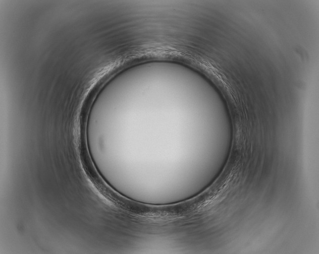 X0000112060630200908041012
