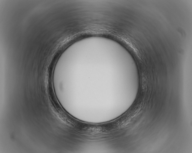 X0000112060631200908041012