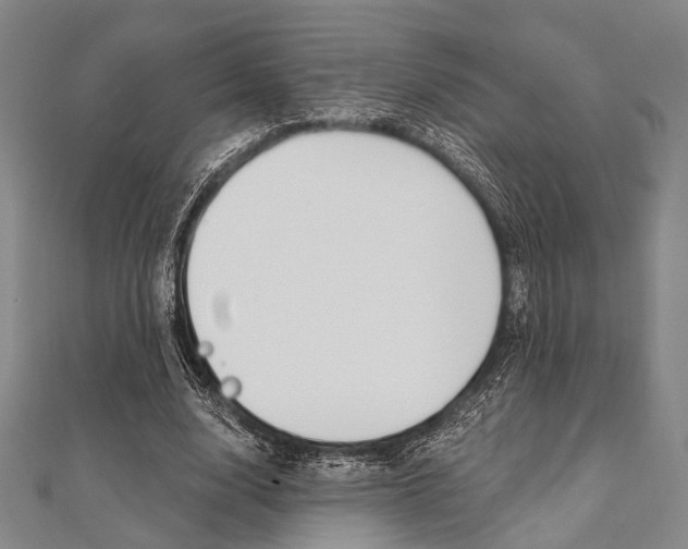 X0000112060632200908041012