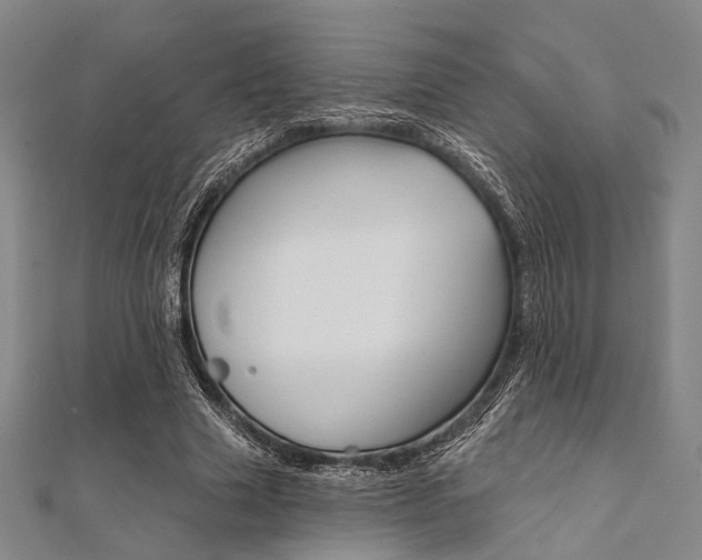 X0000112060633200908041012