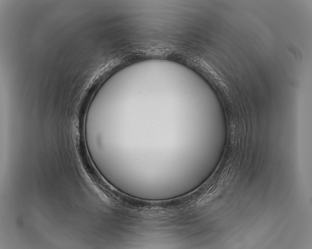 X0000112060634200908041012