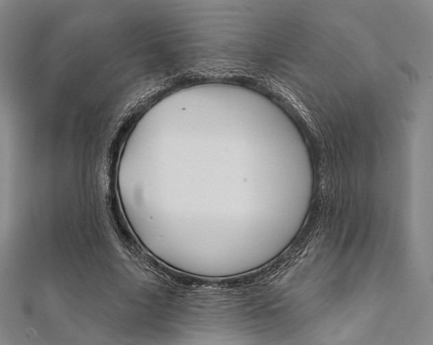 X0000112060635200908041012