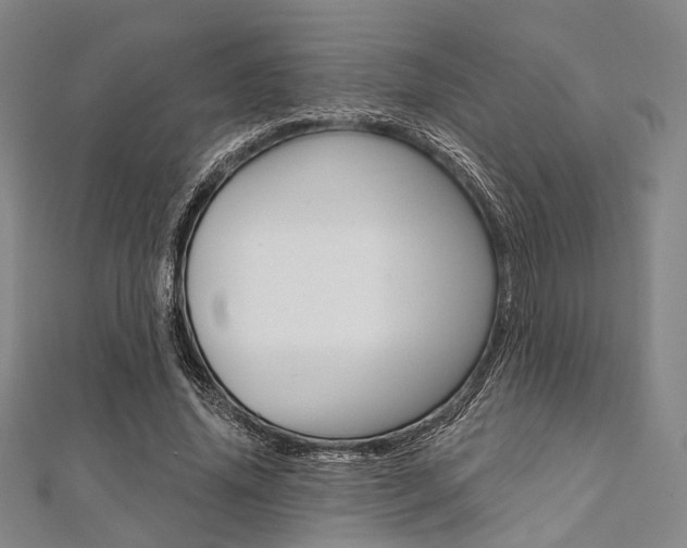 X0000112060636200908041012