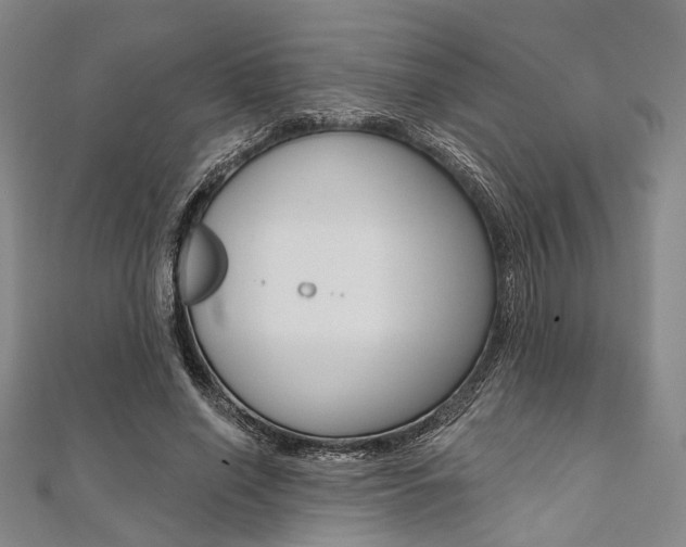 X0000112060638200908041012