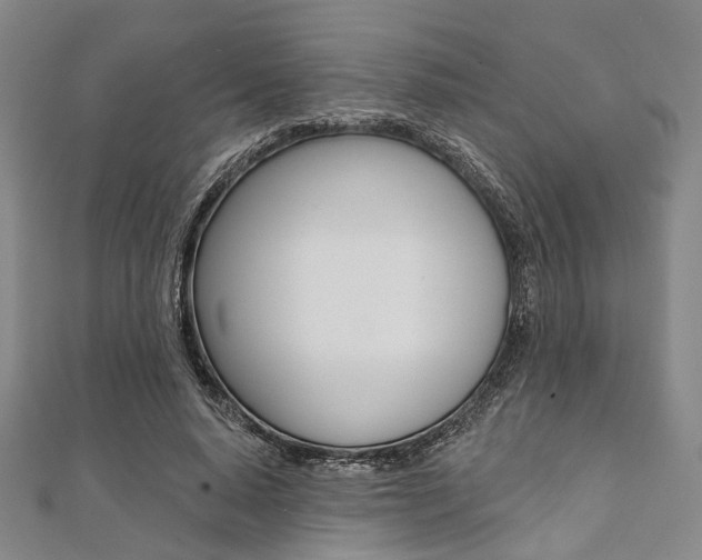 X0000112060640200908041012
