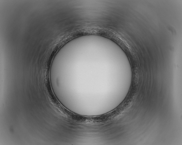 X0000112060641200908041012