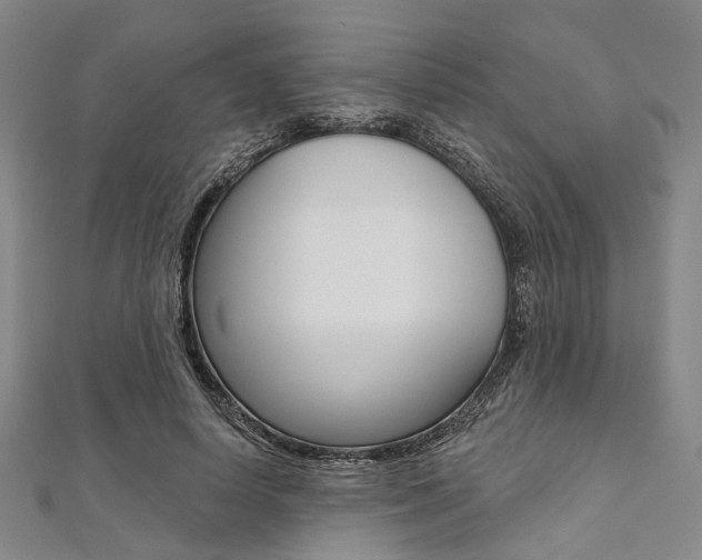 X0000112060642200908041012