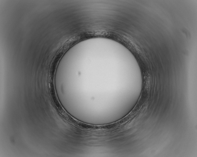 X0000112060643200908041012
