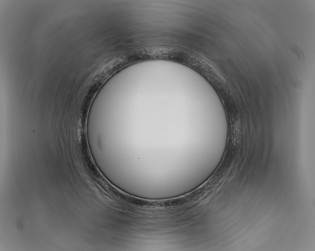 X0000112060644200908041012