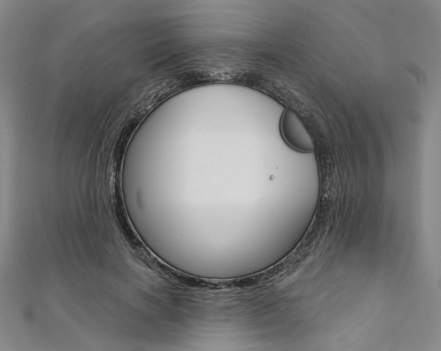 X0000112060646200908041012