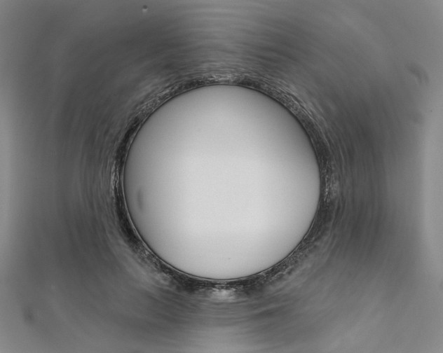 X0000112060647200908041012