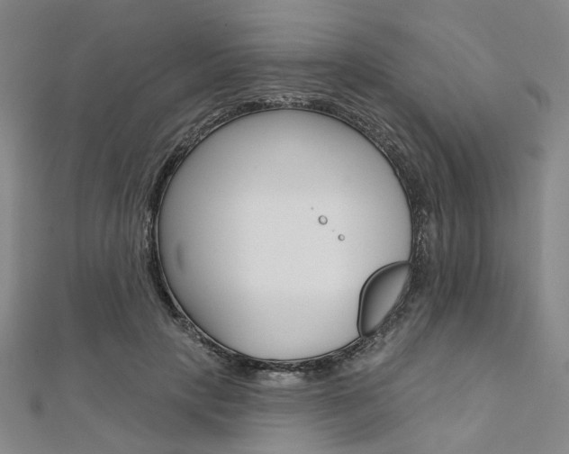 X0000112060649200908041012
