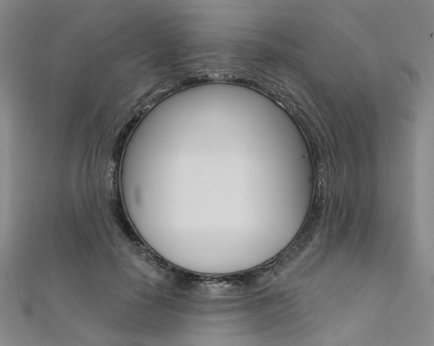 X0000112060650200908041012