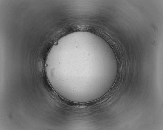 X0000112060651200908041012