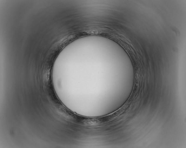 X0000112060652200908041012