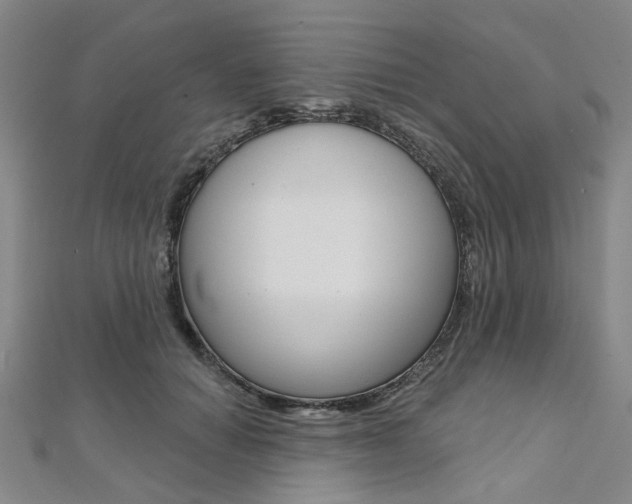 X0000112060654200908041012