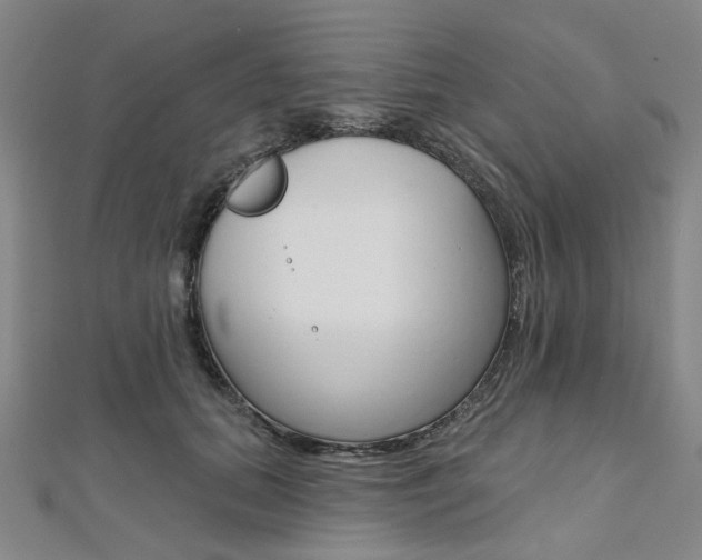 X0000112060655200908041012