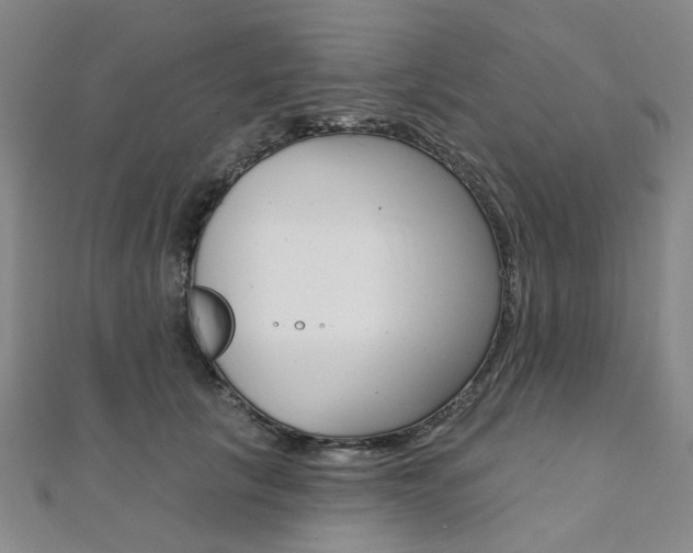 X0000112060657200908041012