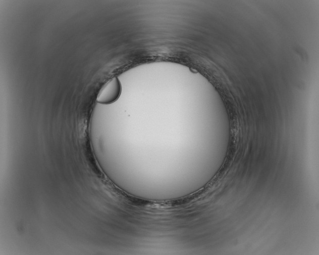 X0000112060660200908041012