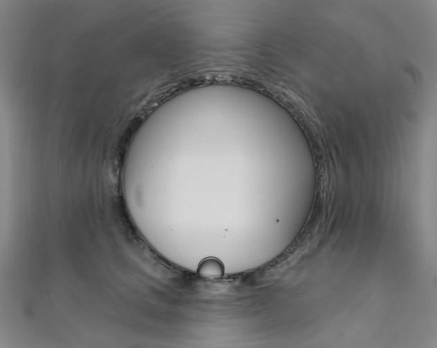 X0000112060661200908041012