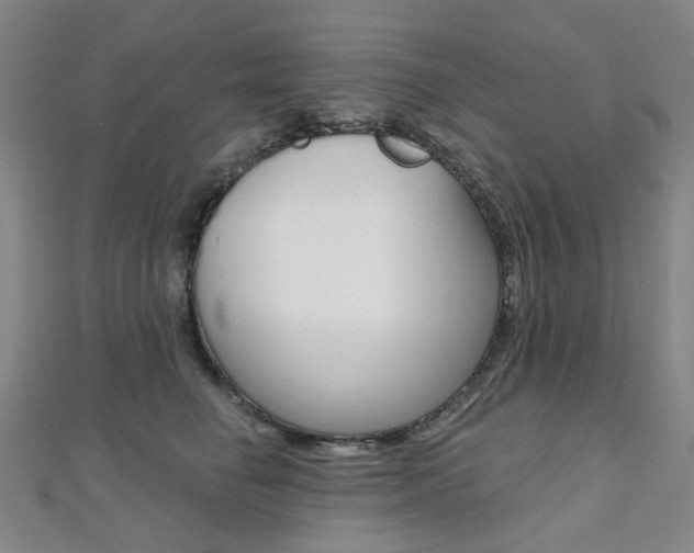 X0000112060662200908041012