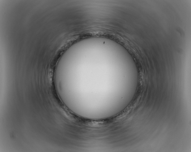 X0000112060664200908041012