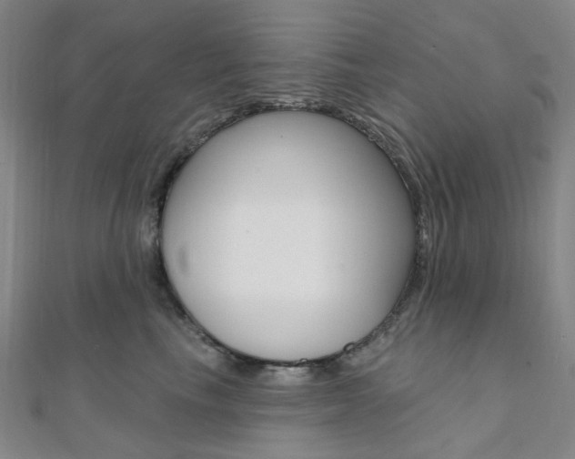 X0000112060665200908041012