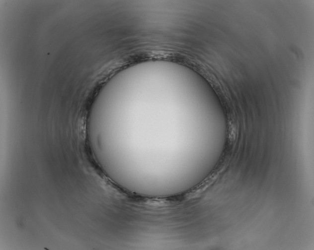 X0000112060666200908041012