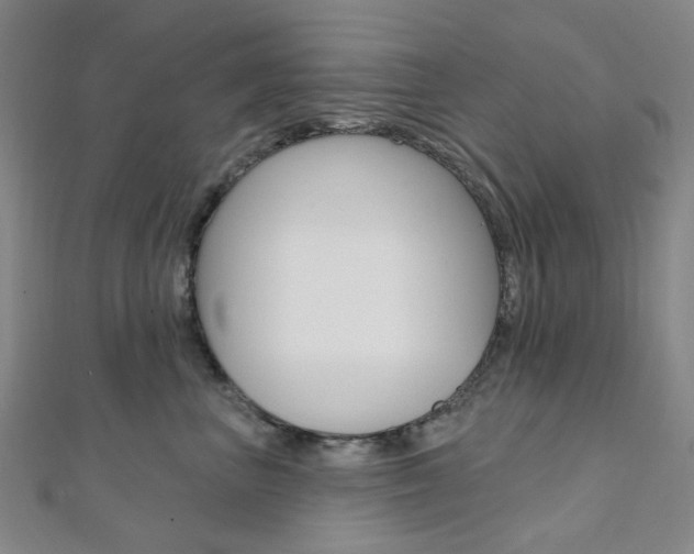 X0000112060667200908041012
