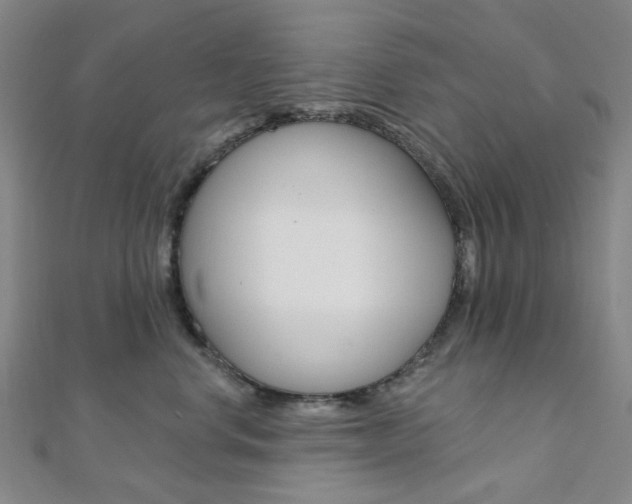 X0000112060668200908041012