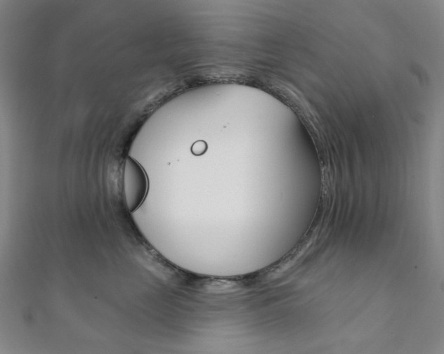X0000112060669200908041012