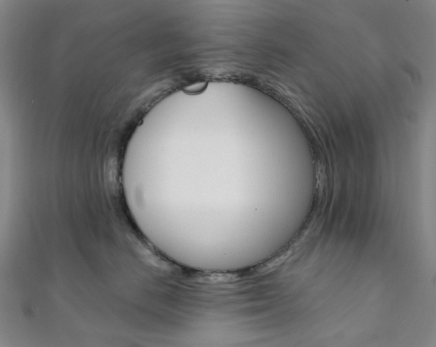 X0000112060670200908041012
