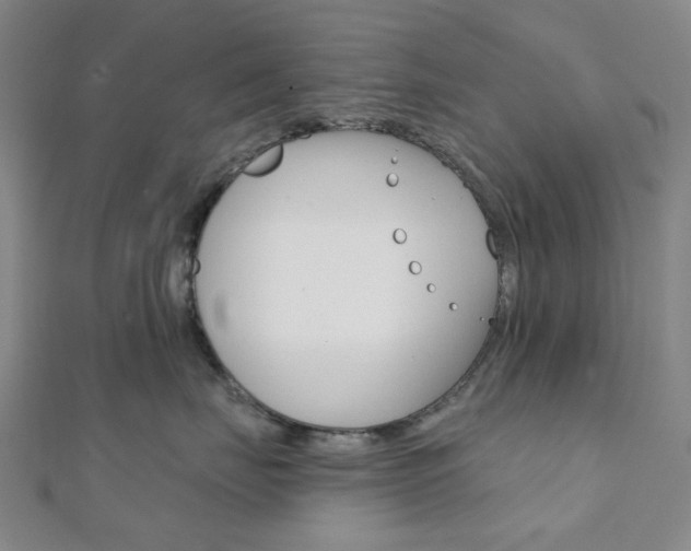 X0000112060671200908041012