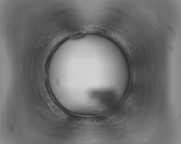 X0000112060673200908041011