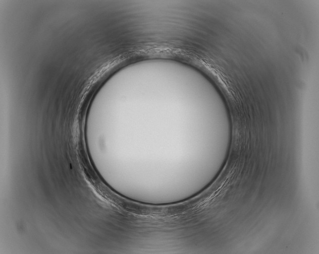 X0000112060674200908041011