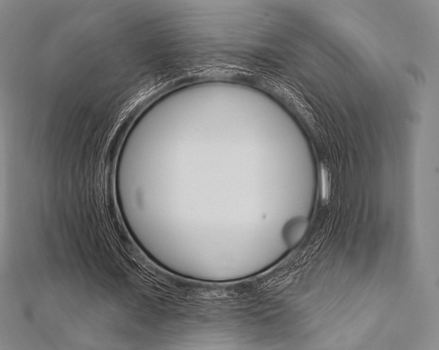 X0000112060675200908041011