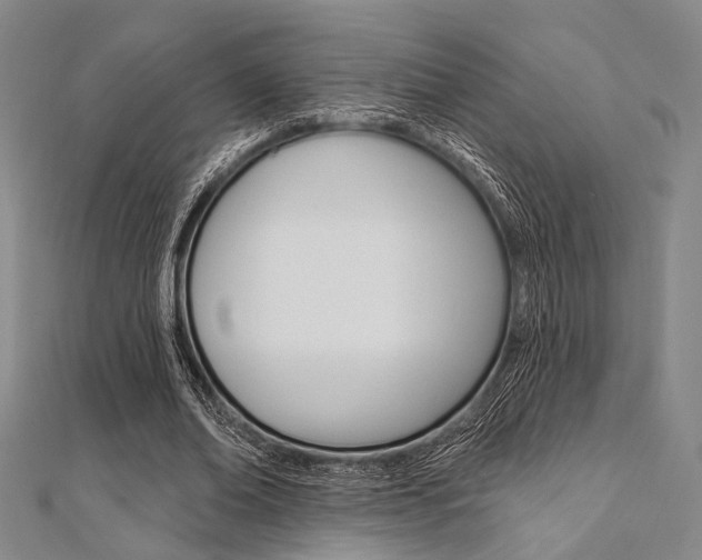 X0000112060678200908041011