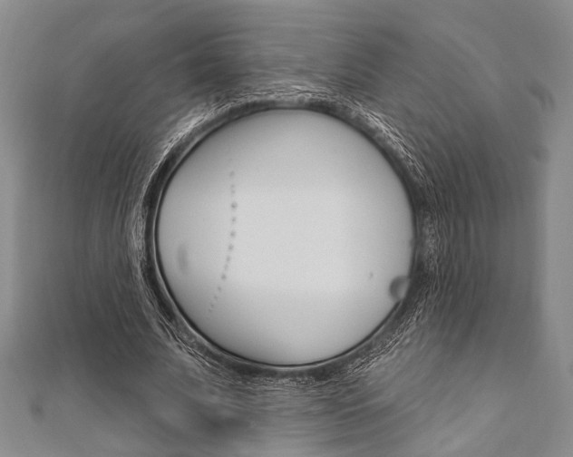 X0000112060679200908041011
