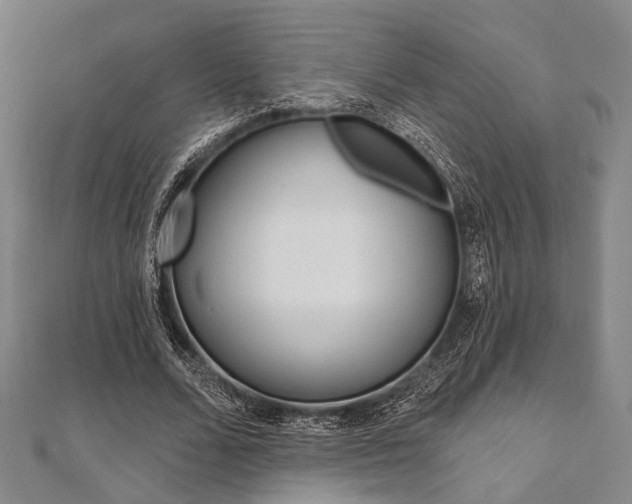 X0000112060680200908041011