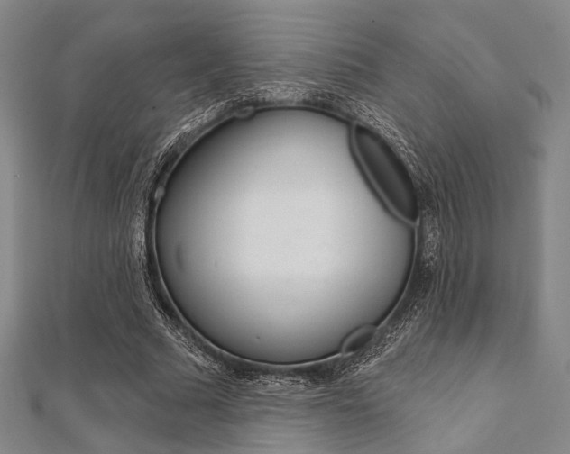 X0000112060681200908041011