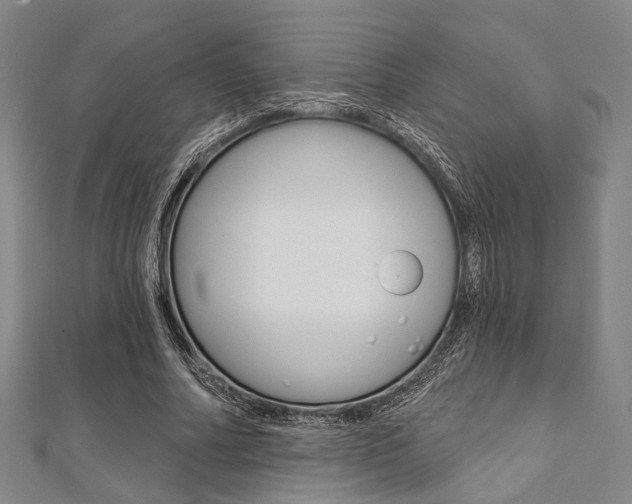 X0000112060682200908041011