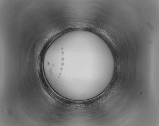 X0000112060683200908041011