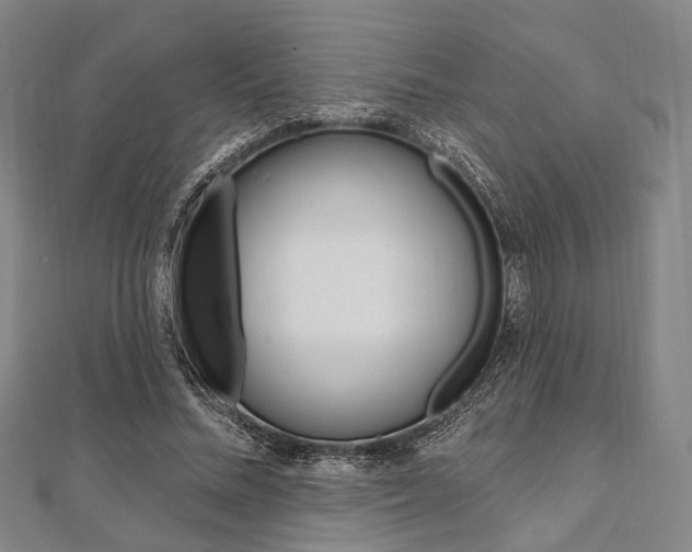X0000112060684200908041011