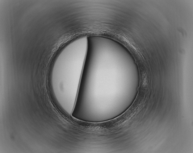 X0000112060685200908041011